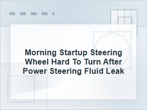 Morning Steering Wheel Hard to Turn After Fluid Leak